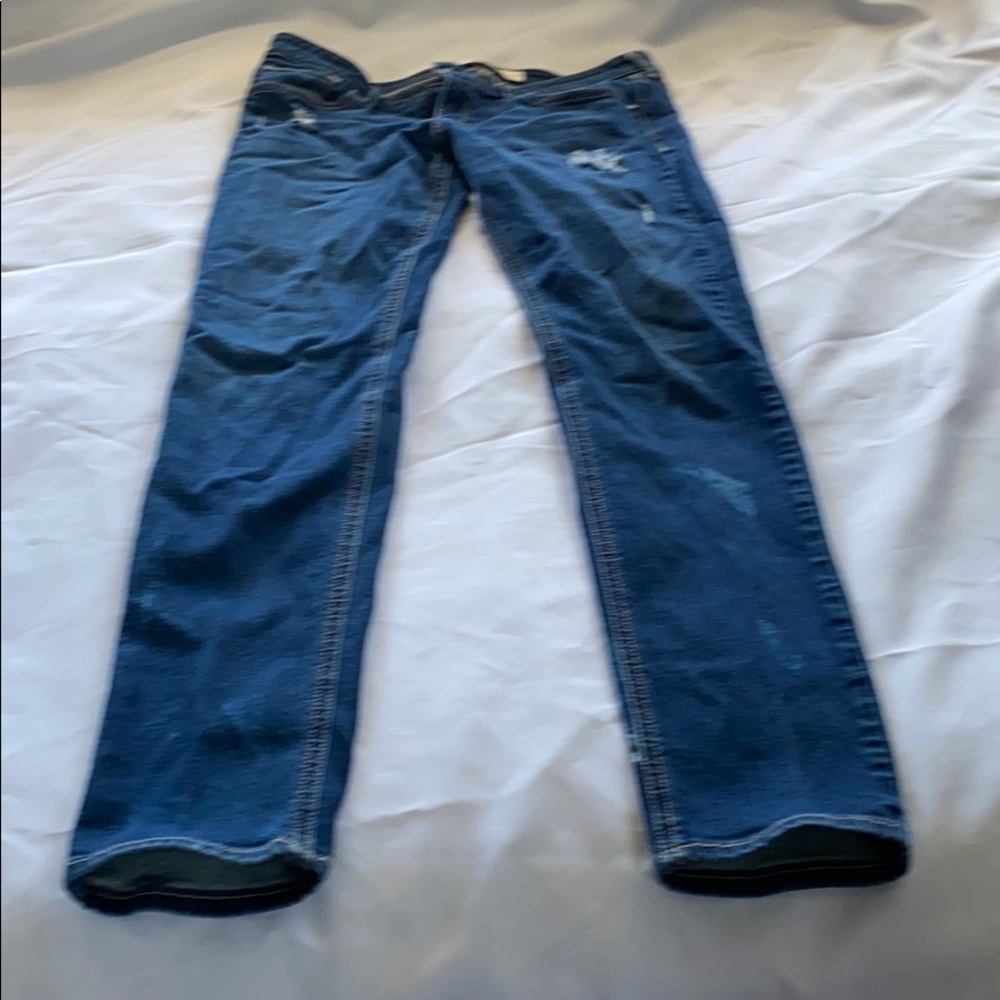Pant.